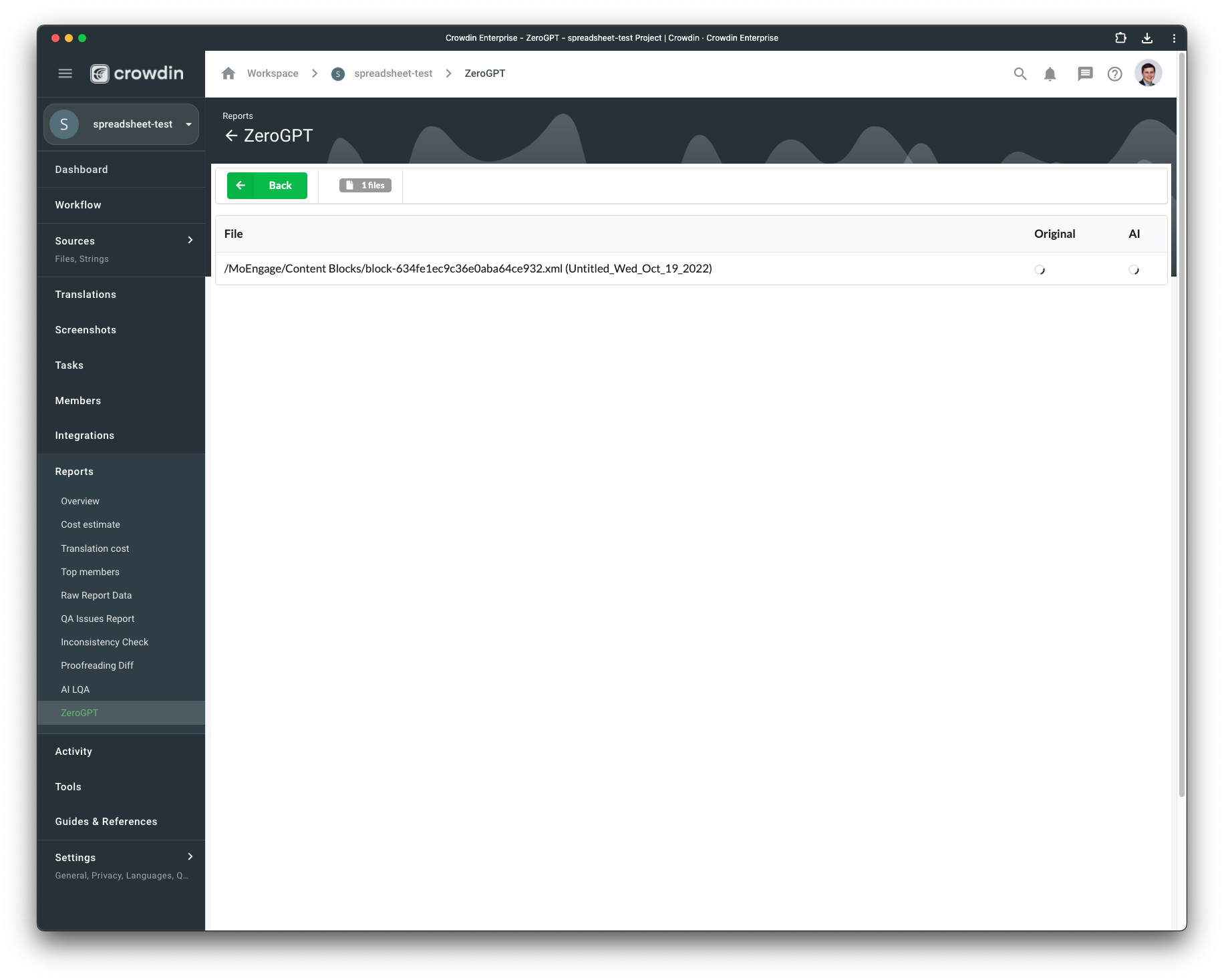 Reports tab of ZeroGPT AI generated translations detector
